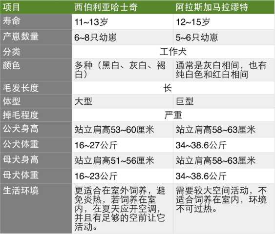 新澳門今晚開特馬結(jié)果查詢,精確評估解答解釋現(xiàn)象_訂閱制30.5