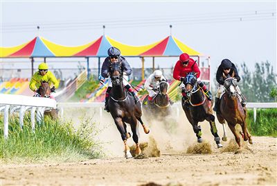 2024今晚香港開特馬,今晚香港開特馬，探索賽馬文化，體驗速度與激情