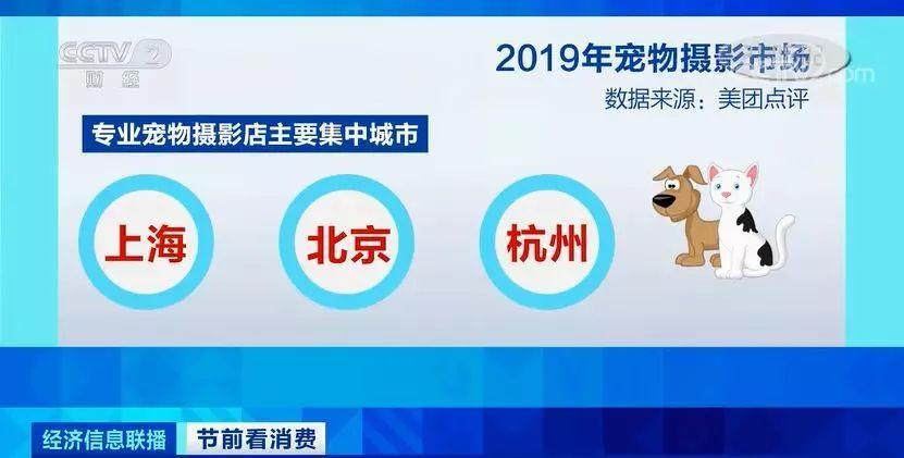 管家婆一肖一碼100正確,管家婆一肖一碼，揭秘100%正確的預(yù)測(cè)之道