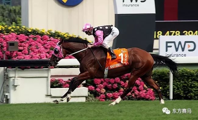 2024今晚香港開特馬開什么,探索香港賽馬文化，2024今晚特馬賽事展望