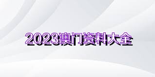 2024澳門正版資料免費大全,澳門正版資料免費大全，探索與啟示（2024版）