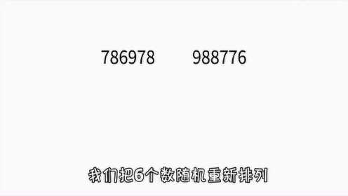 7777788888一肖一碼,探索神秘數(shù)字組合，77777與88888一肖一碼的魅力世界