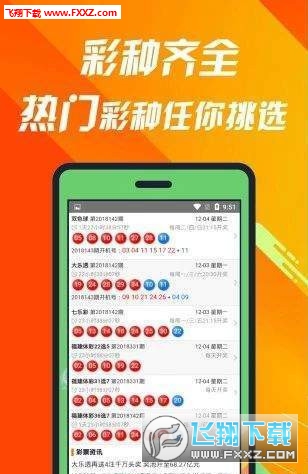 王中王493333中特1肖,王中王493333中特1肖的魅力與探索