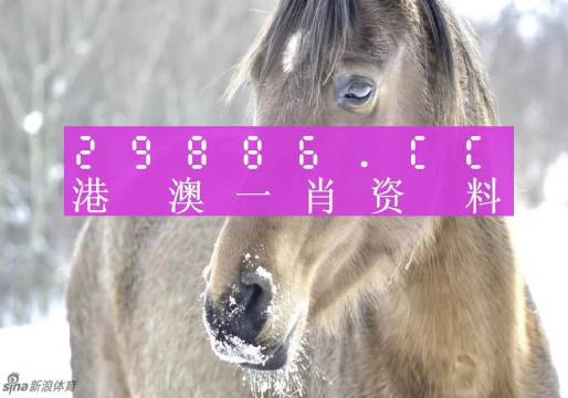 澳門平特一肖100%準(zhǔn)資優(yōu)勢(shì),澳門平特一肖的預(yù)測(cè)與優(yōu)勢(shì)，一個(gè)誤解與警示