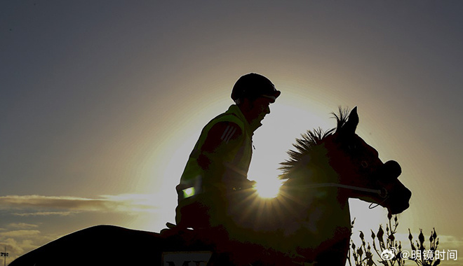 2024新澳門特馬今晚開什么,關(guān)于新澳門特馬今晚開獎(jiǎng)的真相探討——警惕賭博犯罪的侵害