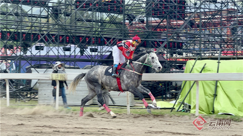 2024今晚香港開特馬,今晚香港開特馬，探尋賽馬文化的魅力與激情