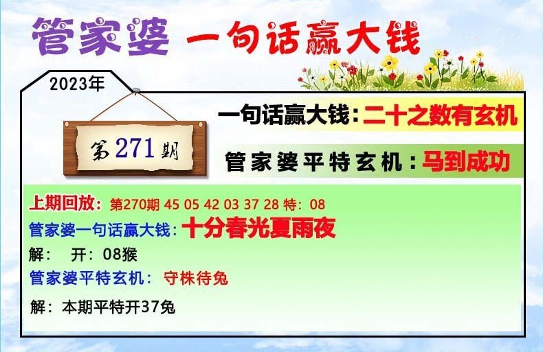 澳門一肖一碼100管家婆9995,澳門一肖一碼與管家婆9995，探索與解析