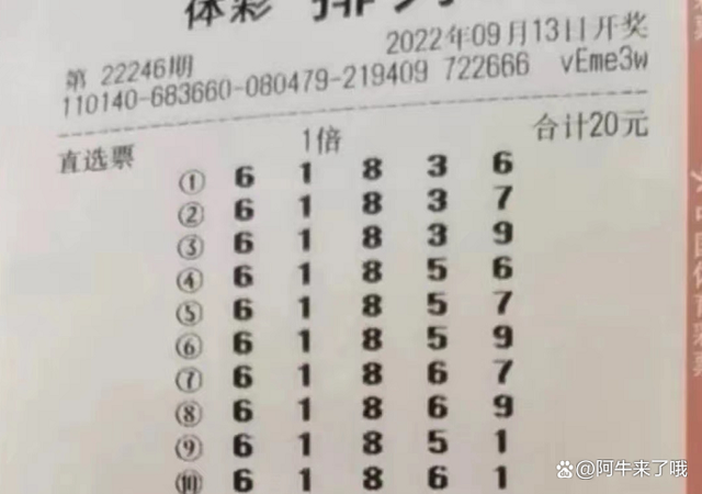 777788888新奧門開獎(jiǎng),探索新奧門開獎(jiǎng)的奧秘——數(shù)字組合7777與8888的魅力