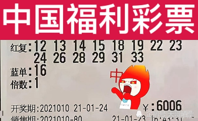 新澳2024今晚開獎結(jié)果,新澳2024今晚開獎結(jié)果，期待與驚喜的交匯之夜